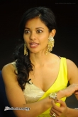 actress-pooja-kumar-stills-282124