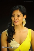actress-pooja-kumar-stills-295225