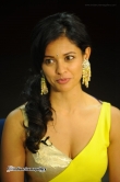 actress-pooja-kumar-stills-3074