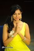 actress-pooja-kumar-stills-333977