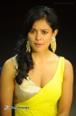 actress-pooja-kumar-stills-347565