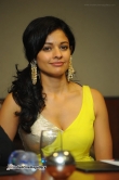 actress-pooja-kumar-stills-358366
