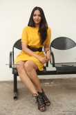 poojitha at darsakudu teaser launch (19)