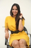 poojitha at darsakudu teaser launch (21)