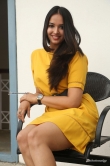 poojitha at darsakudu teaser launch (22)