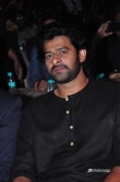 prabhas-at-well-care-health-card-launch-37344