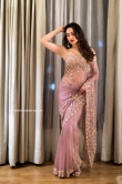 Pragya Jaiswal in Saree dress (17)
