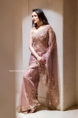 Pragya Jaiswal in Saree dress (18)