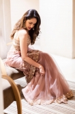 Pragya Jaiswal in Saree dress (22)
