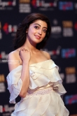 Pranitha at siima awards 2018 (2)