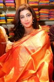 pranitha subhash at videms silks showroom opening (11)