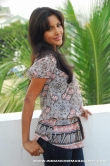 actress-priya-anand-2010-photos-1141141-ii