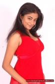 actress-priyamani-2008-photos-1098894