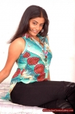 actress-priyamani-2008-photos-1127468