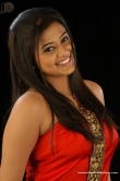 actress-priyamani-2008-photos-126423