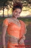 actress-priyamani-2008-photos-1224474