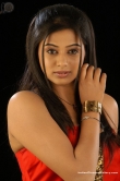 actress-priyamani-2008-photos-141688
