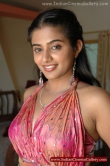 actress-priyamani-2008-photos-1511687