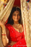 actress-priyamani-2008-photos-1828758