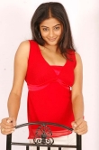 actress-priyamani-2008-photos-337297