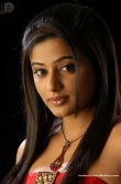 actress-priyamani-2008-photos-57392