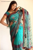 actress-sri-priyanka-in-green-saree-pics-122544