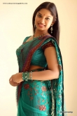 actress-sri-priyanka-in-green-saree-pics-74079