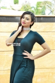 Priyanka Raman stills (19)