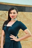 Priyanka Raman stills (47)