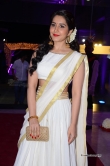 raashi-khanna-at-producer-dvv-danayya-daughter-wedding-reception-132039