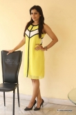 rashmi-gautam-in-yellow-dress-photo-shoot-105847