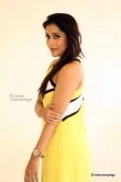 rashmi-gautam-in-yellow-dress-photo-shoot-161659