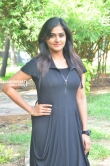 Remya Nambeesan at Sathya Movie Press Meet Stills (61)