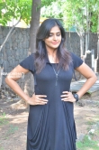 Remya Nambeesan at Sathya Movie Press Meet Stills (65)