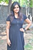 Remya Nambeesan at Sathya Movie Press Meet Stills (67)