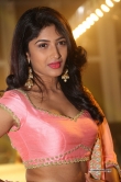 actress-roshini-prakash-stills-139685