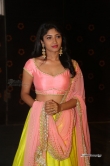 actress-roshini-prakash-stills-156629