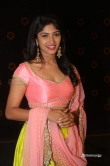 actress-roshini-prakash-stills-206245