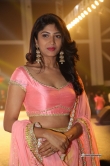 actress-roshini-prakash-stills-74581