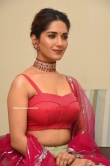 Ruhani Sharma at HIT Movie Pre Release Event (10)
