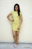 sakshi-chaudhary-in-yellow-dress-july-2015-stills-33856