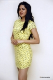 sakshi-chaudhary-in-yellow-dress-july-2015-stills-45743