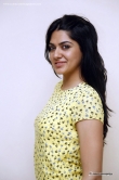 sakshi-chaudhary-in-yellow-dress-july-2015-stills-58188