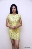 sakshi-chaudhary-in-yellow-dress-july-2015-stills-61864