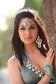 sakshi-chowdary-march-2014-pics-115687
