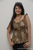 actress-saloni-aswani-2011-stills-37874