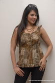 actress-saloni-aswani-2011-stills-47563