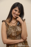actress-saloni-aswani-2011-stills-99272