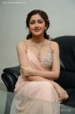actress-sayesha-saigal-stills-124275