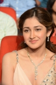actress-sayesha-saigal-stills-147091